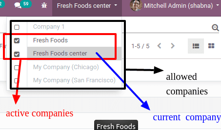 odoo-13-multi-company
