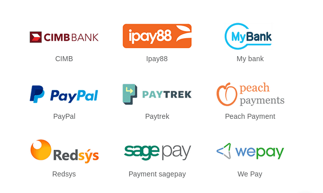 payment acquirers in odoo 13 cybrosys